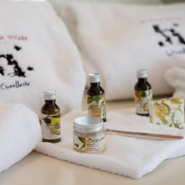 Hotel Spa la Cueillette Bourgogne_spa_soins