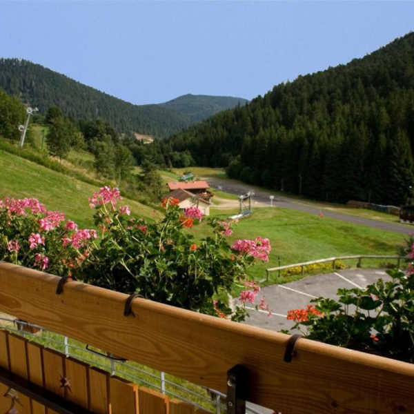 Vetine Hotel Vosges_vue depuis le domaine