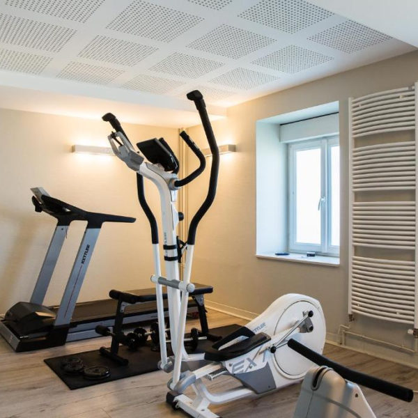 Le Rabelais Hotel -Restaurant -SPA - pays de la loire-salle de fitness