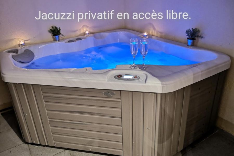 Appartement spa privatif et cinéma centre ville (3)